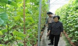 娱乐吃瓜小将配音是谁,揭秘配音界新晋实力派